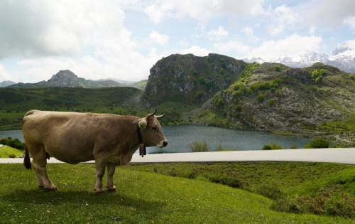 Asturien