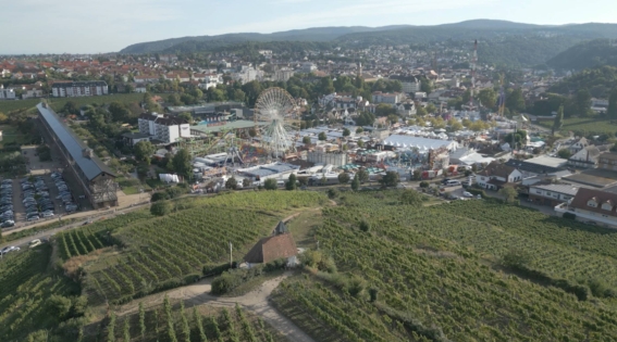 Weinstrasse Teil 1